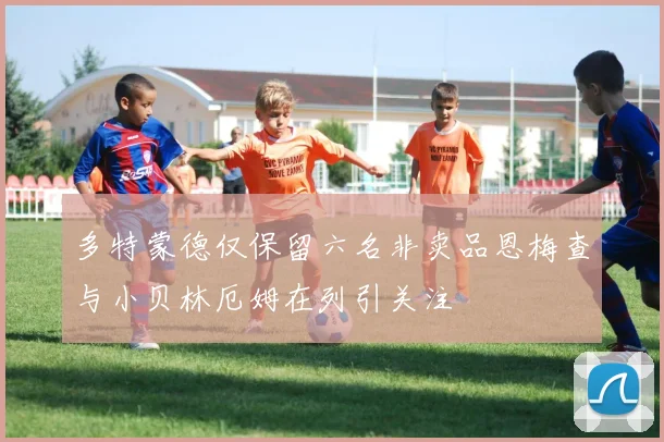 多特蒙德仅保留六名非卖品恩梅查与小贝林厄姆在列引关注