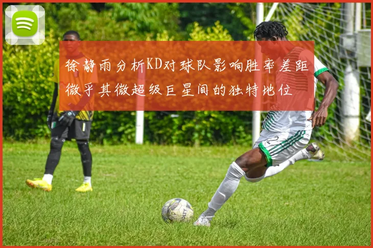 徐静雨分析KD对球队影响胜率差距微乎其微超级巨星间的独特地位